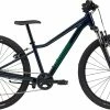 Cannondale Trail 24" Kids, Rød -Vitus Salg cannondale trail 24 kids midnight blue 1 1